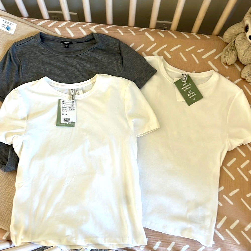 Casual women’s tshirts 3 tops two white and one grey brands: Express and H&M.